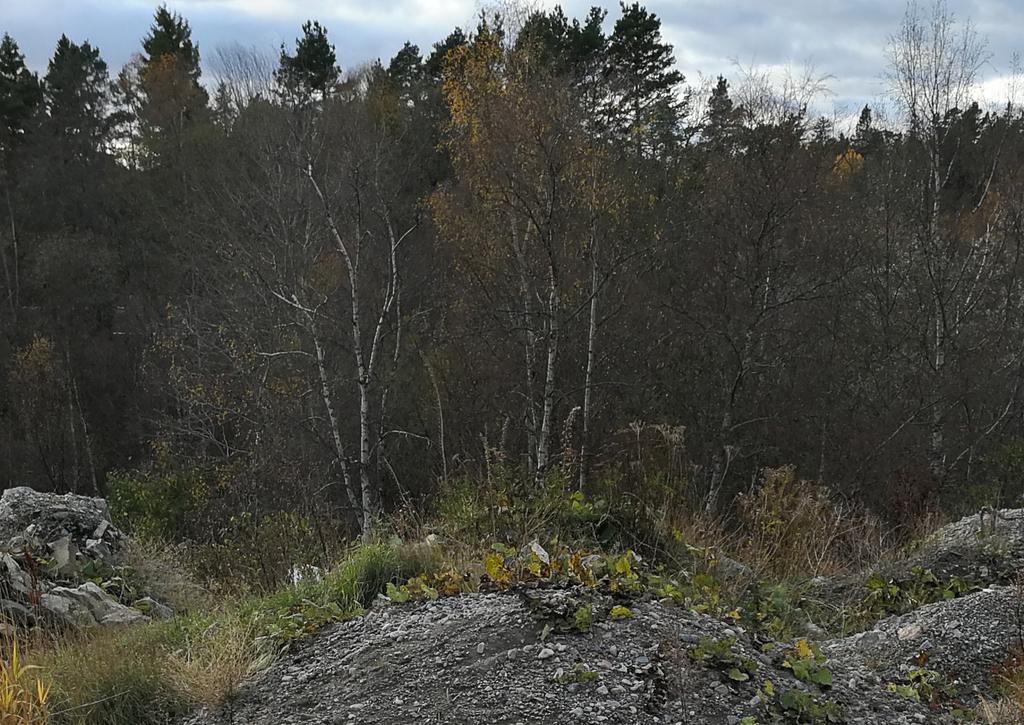 NACKA KOMMUN DALKARLSÄNGEN SÖDRA PM BELYSNING DATUM: