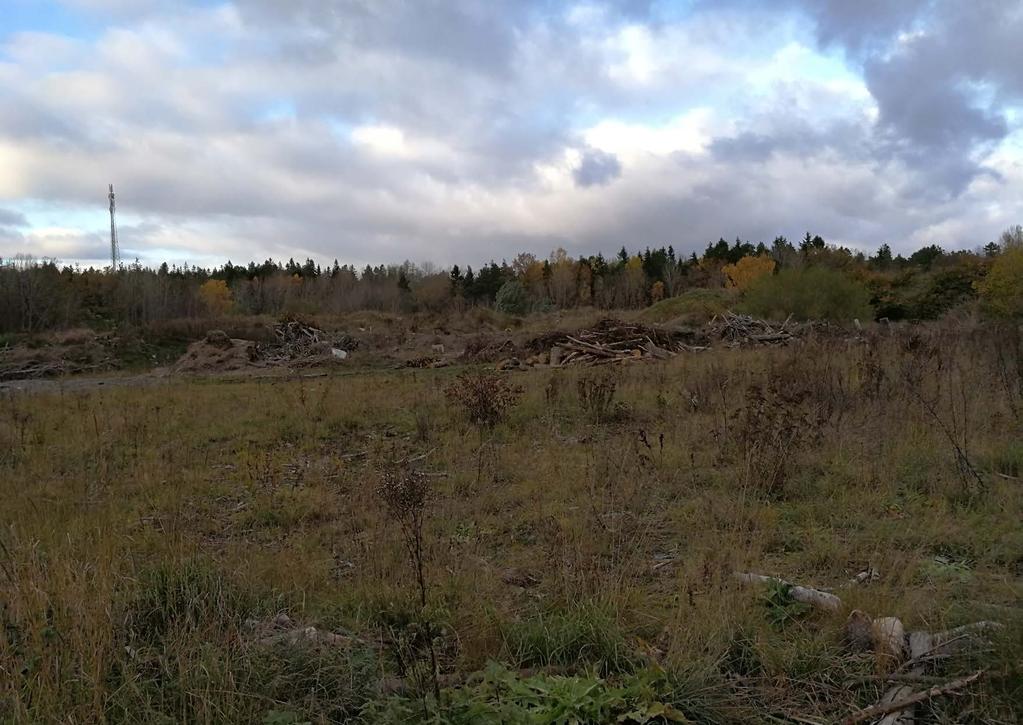 Bootippen. Ett före detta kärr som sedan blev deponi och som sist har övertagits av naturen. Nu skall tippen inkapslas och bli rekreationsområde för kommande exploatering i dess närområde.