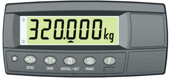 VIKTINDIKATOR R300 SERIEN (R310, R320 och R323)