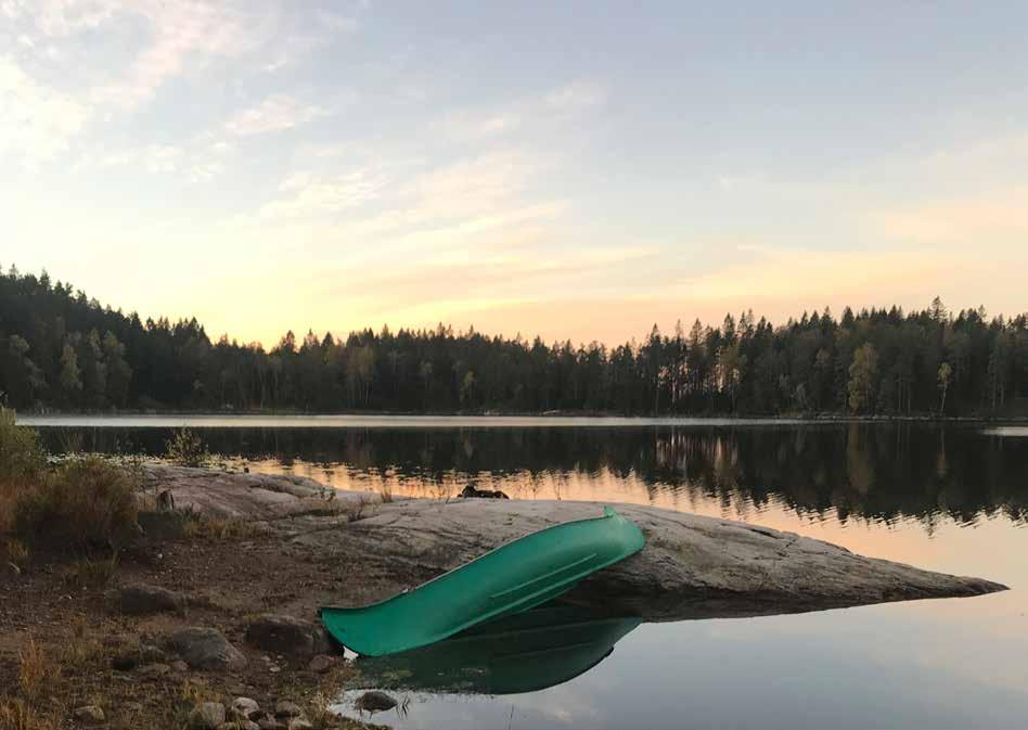 Vandring med silverstänk Bredfjället reser sig majestätiskt över Ljungskile. Hundra meter över havet breder ett kuperat blåbärsklätt skogslandskap ut sig.