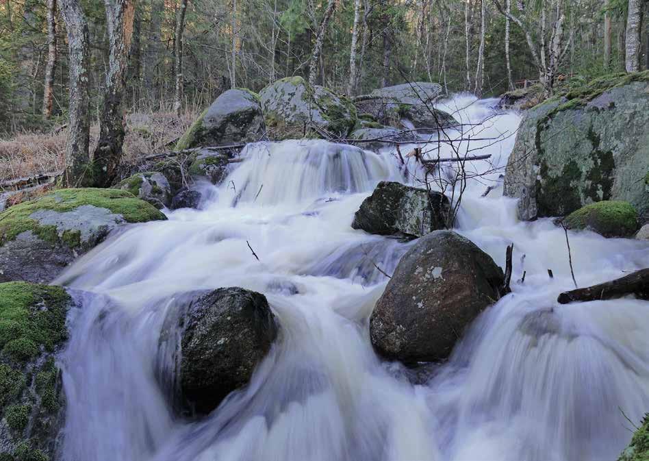 Lederna går också genom gamla odlingslandskap där det finns spår efter gamla torp och gårdar.