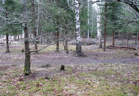 Schakt 3 grävdes från sluttningen ner i flack mark. Det grävdes 10 meter långt, 0,2 meter djupt och undergrunden bestod av silt med enstaka större stenar.