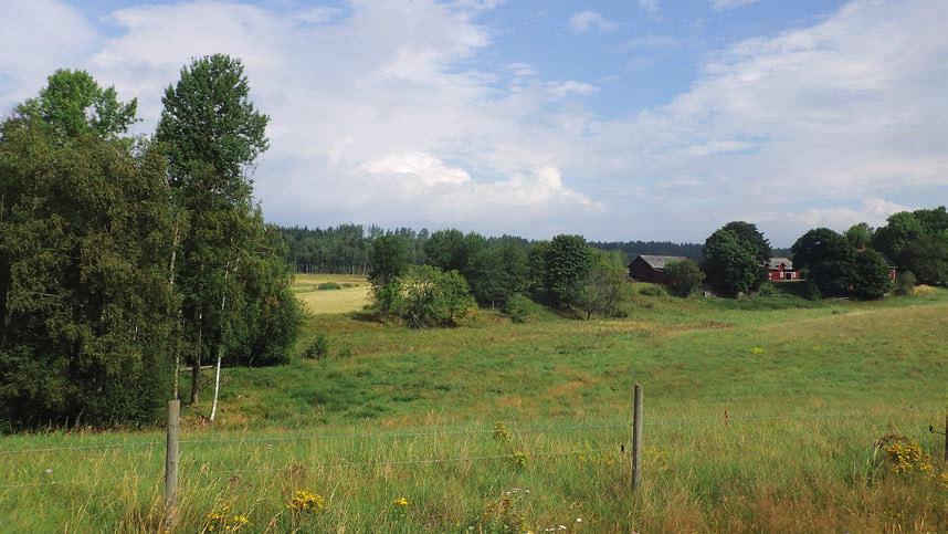 Väg 50 mellan Brattebro backe och länsgränsen, arkeologisk utredning etapp 1 Figur 3. Översiktsbild från söder med åsen och vägbanken, objekt 1, samt gården Dalhem i förgrunden.