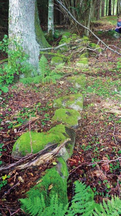 Arkeologgruppen AB rapport 2016:65 Objekt 4. Röjningsrösen/gravar Område med ett 10-tal odlingsrösen alternativt gravar. Rösena är runda, 6 8 meter stora och 0,2 0,4 meter höga.
