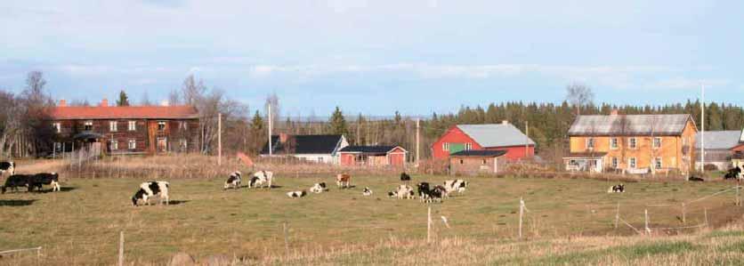 Del av område 5. Östiängena Området öster om centralorten Svenstavik och sydväst om Skucku rymmer sannolikt höjder med medelvindar över gränsen för lönsam vindproduktion (>6,5 m/s 71 m över nollplan).