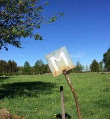anhörigstöd Hösten och