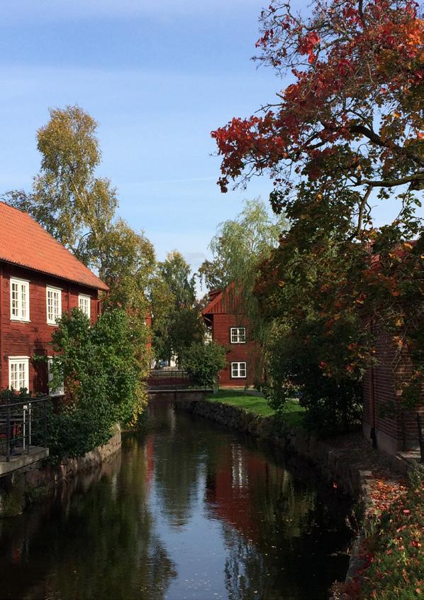 Ett stort tack! De aktiviteter som erbjuds här i programmet bedrivs till största delen av frivilliga utan någon som helst ersättning.