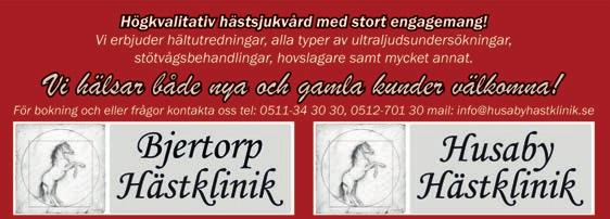 Skaraborgsbygd ens lärlingschampion blev Frank Nilsson, Ladugårdsinredes amatörserie vanns av Niclas Benzon och Husabys ryttarchampionat av sa Svensson.