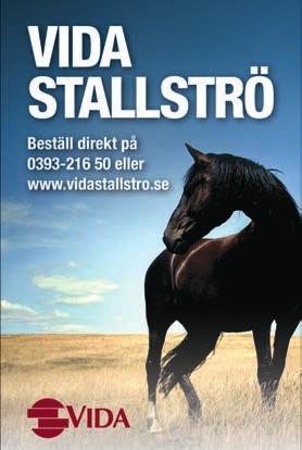 Vi har fått ihop en riktigt trevlig V-omgång och tillsammans med lite god mat på Idas Trav så ser det ut som en trevlig lunchtillställning. FÖR R SEDAN HETTE V-VINNARNA Barbaren-Per Johansson,.