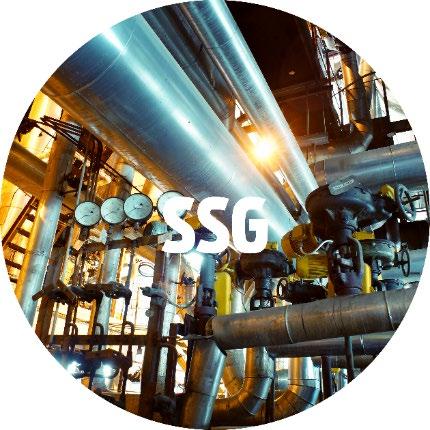TJÄNSTER SSG ACCESS Tillträdes- och kompetenskontroll via SSGs Accesskort och möjlighet att registrera kompetenser i databasen SSG Profile.