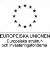 (exempelvis Lotta) Start: När ska aktiviteten senast påbörjas? (exempelvis 1 januari 2016) Klart: När måste aktiviteten vara klar?
