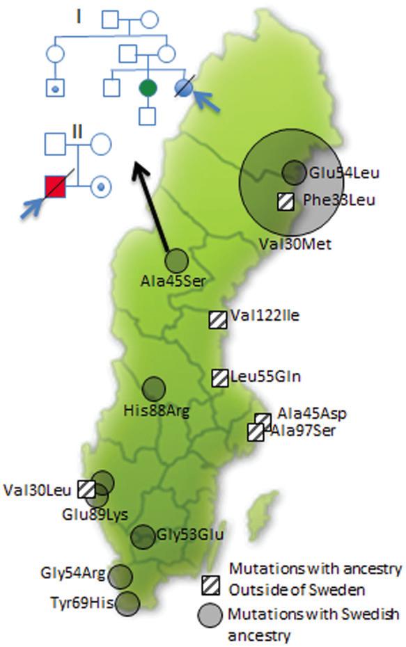 ATTRv-amyloidos i Sverige Ca 350 pa.