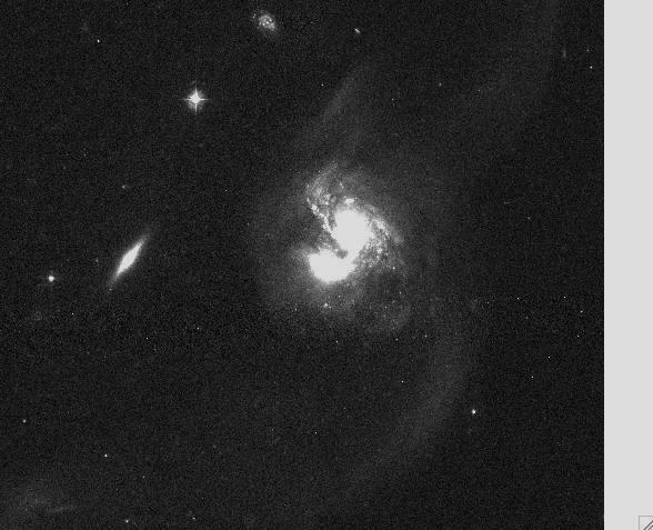 NGC695