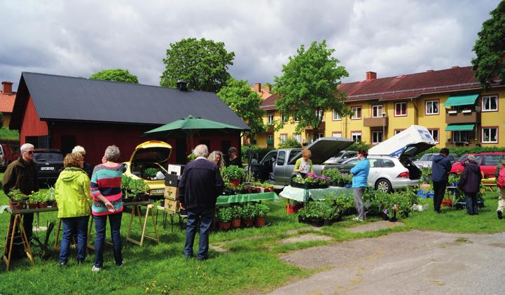 Trädgårdskryssning till växtmarknaden i Estland 16-18 maj och 16-19 maj Välkommen på en kryssning med Riksförbundet Svensk Trädgård till den populära växtmarknaden i Türi, Estland.