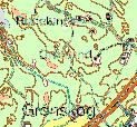 Em9. Grönskogssjön, Grönskog Datum: 29-1-21 Kommun: Mönsterås Koordinat: 6337693/1532669 Norr om staketet vid Grönskogs gård. Den röda markeringen visar lokalens läge.