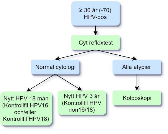 Om persisterande HPVpositiv efter 18 månader respektive 3 år Kolposkopi inom 3 månader.