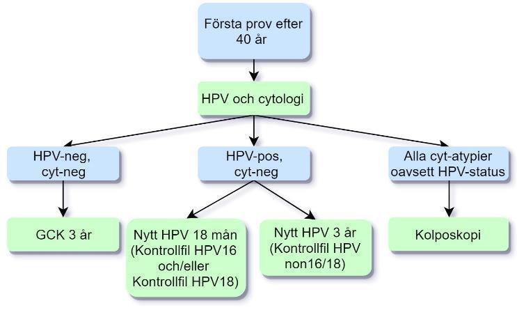 Rutin vid övergång till HPV-baserad primärscreening Kvinnor 50 år och äldre som i det äldre systemet bevakas pga. ASCUS/CIN 1 HPV-negativa kallas till HPV-test efter 3 år inom GCK.