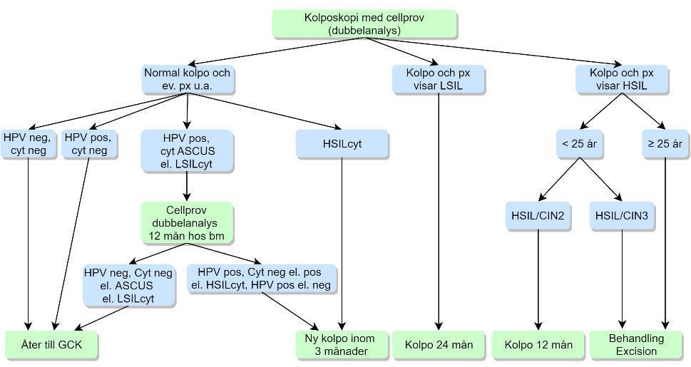 Rekommendation Kolposkopi utförs 3 4 månader efter indexprovet för kvinnor över 27 år. (GRADE ++) Nytt cellprov bör tas. Kolposkopi utförs inom 6 månader från indexprovet för kvinnor 23 27 år.