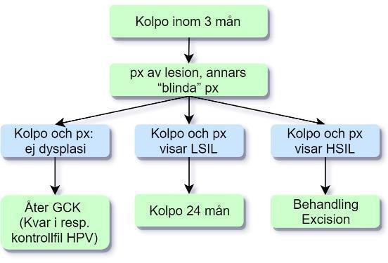 Analysen visar: Persistent HPV-infektion med normal cytologi (uppdaterat 2018) Rekommendation HPV 16 eller 18 infektion som persisterat > 1 år (kallelseintervallet 18 månader minus 6 månader) med