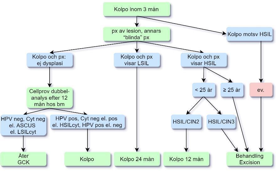 Rekommendation Kolposkopi utförs inom 3 månader från indexprov. HSIL/ASC-H ska alltid leda till PAD. Antingen tas px eller görs en excision.