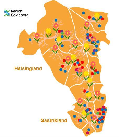 Det finns ett tydligt behov av en regional strategi och stark