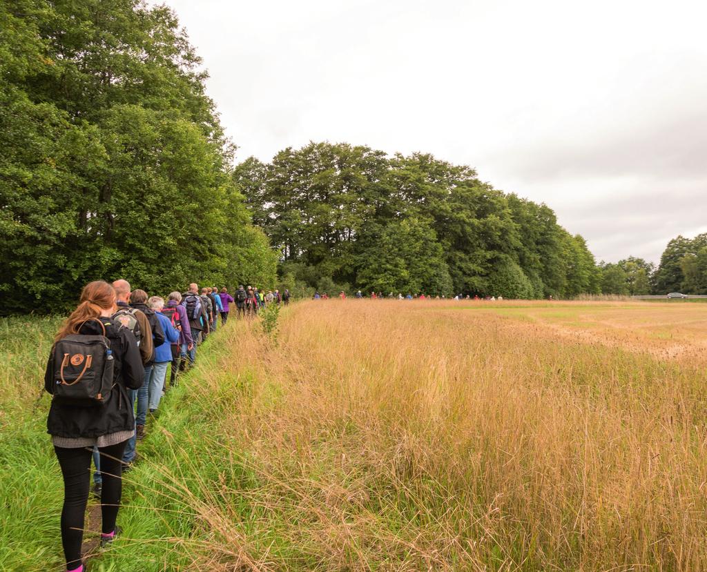 Pilgrimsvandring - kallelsen till guds rike söndagen den 10 juni 08.30 Mässa i Skavböke kapell 10.00 Bön i skogen, vila, medhavd frukost 12.00 Middagsgudstjänst i Oskarströms kyrka 12.