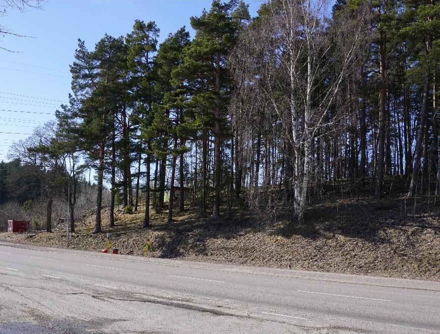 3.2 Studieområde För att skanna in marken för ett skogsområde behövde området vara fritt från snö.