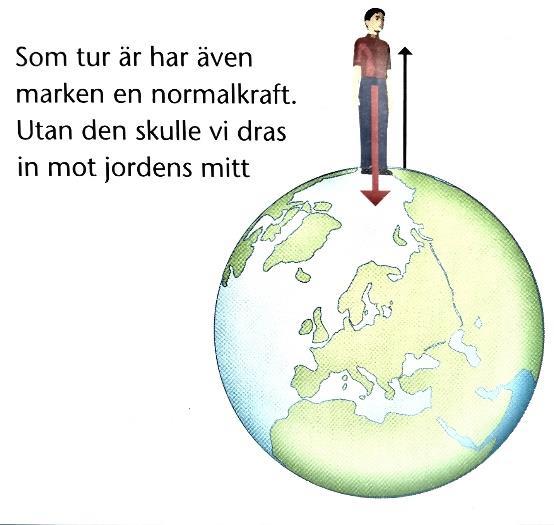 I exemplet nämns och beskrivs normalkraft i brödtext samt bildtext intill en bild föreställande en individ som står på en jordglob.