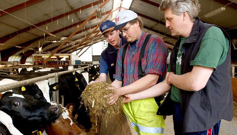 Individuell rådgivning och lantbrukarkurser Anmälda lantbrukare Lantbrukaren anmäler sig som medlem i projektet och får därefter ett besök av en rådgivare då en första växtnäringsbalans beräknas för