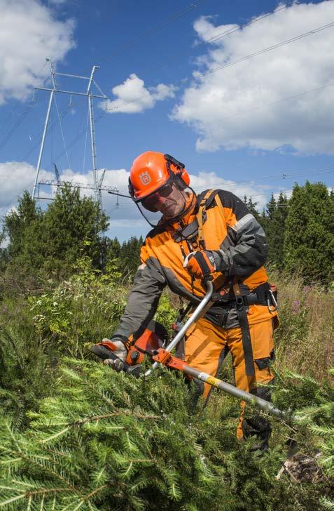 människornas säkerhet och kraftledningens driftsäkerhet.