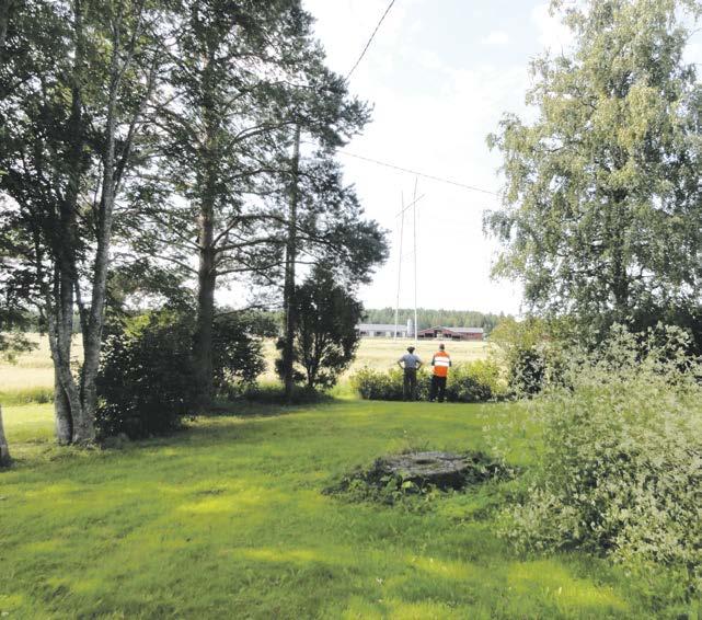 gårdarna spridit sig till kraftledningarnas kantzoner eller till och med under