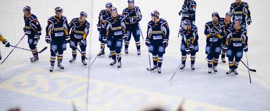 sundsvall hockey reklamplatsen för företag som söker exponering utöver det vanliga.