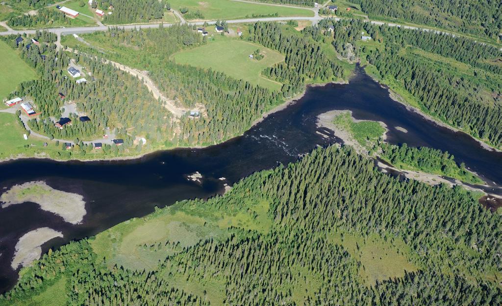 12 Ön 13 Campingen Ön ligger uppströms campingen. Runt denna kan du ha ditt bästa fiske, inte minst under hösten. Ta båten över till ön.