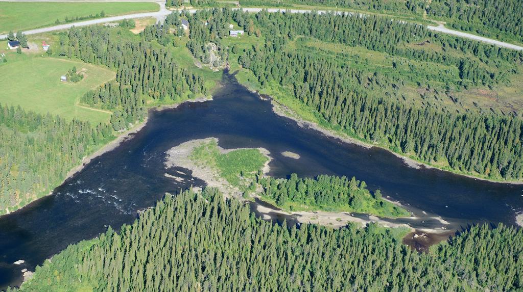 14 Krokforsen 15 Krokforsselet Nedanför själva krokforsen gör älven en 90-graders sväng där forsen mynnar i ett perfekt strömsatt och fantastiskt sel.