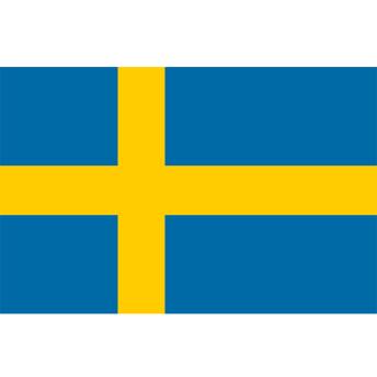 100% digital ansökan