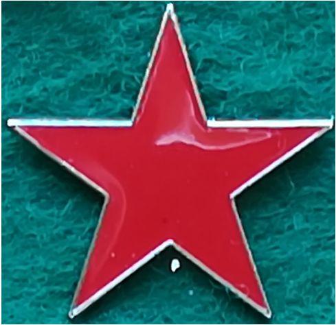 SDUF i sin helhet bildade SSV Sveriges Socialdemokratiska Vänsterparti SSV med SDUF som detta partis ungdomsförbund.