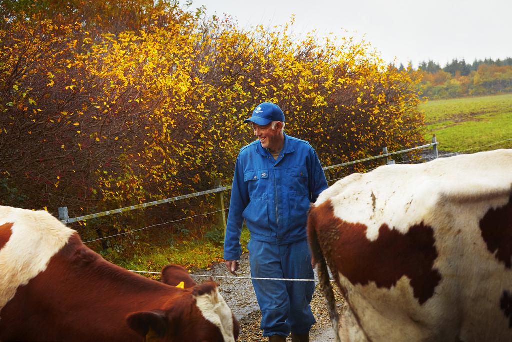 Offentliggörande av koncernens halvårsrapport