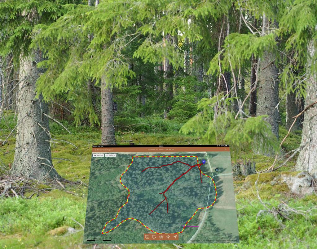 ARBETSRAPPORT 1020-2019 (English version) Decision support for proposing main extraction routes in final felling DEMONSTRATION REPORT: SÖDRA