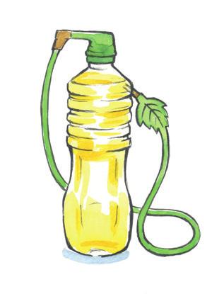 Det samlas in matfett och fallfrukt på Bråta ÅVC. Matfettet omvandlas till bland annat biodiesel. Fallfrukten blir till biogas och biogödsel. För 2018 blev det 18,7 ton fallfrukt.