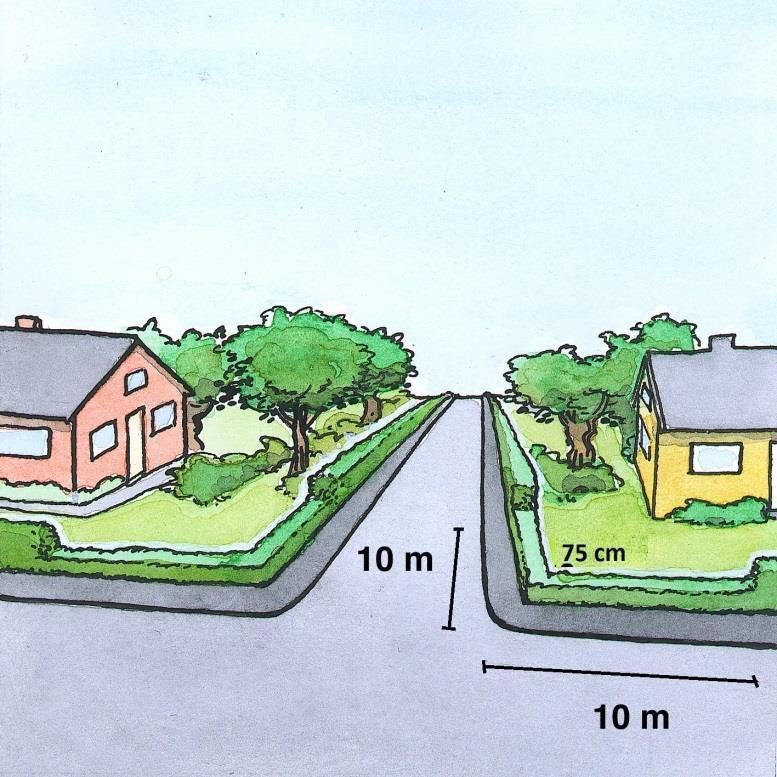 Plantering av nya träd och växter Vid nyplantering är det viktigt att tänka på hur trädet, växten kommer att utvecklas flera år framåt i tid.