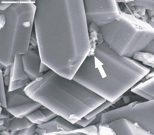 7.8 Detailed descriptions of the surface samples Only two surface samples have been analysed in this study. Sample KA1755A: 208.45 208.50 m is from the surface of a wall of a cavity.