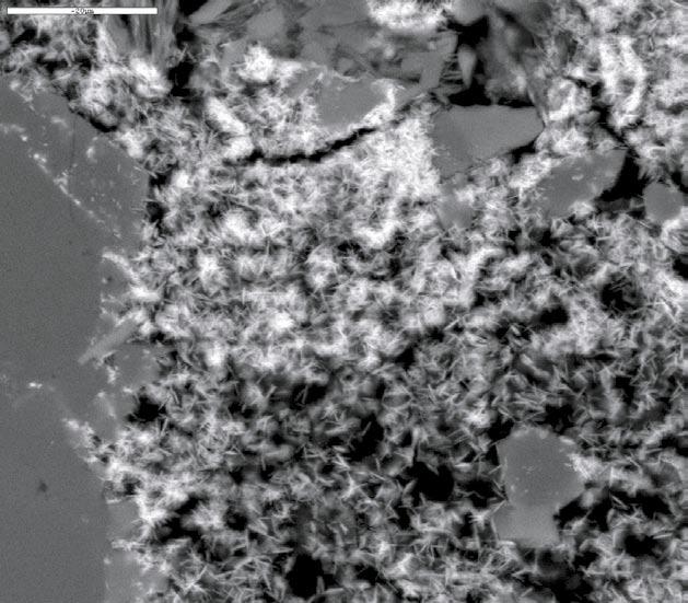 Sample descriptions, KAS04 ( * = below detection limit of SEM-EDS). Appendix 1 17.70 17.85 m Sample type: Thin section. Rock type: Greyish black to dark-grey, fine-grained greenstone.