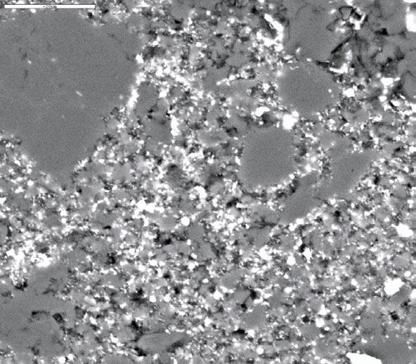 Back-scattered electron image. Scale bar is 20 µm. Figure A1. 65.18 65.25(3).