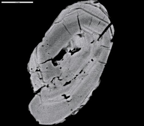 185.15 185.20 m: Sample type: Thin section. Rock type: Mylonite affecting reddish grey, fine medium-grained to medium-grained granodiorite to quartz monzodiorite.