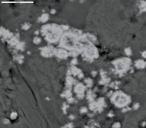 chlorite, adularia and hematite.back-scattered electron image. Scale bar is 200 µm. Figure A2. 204.90 205.