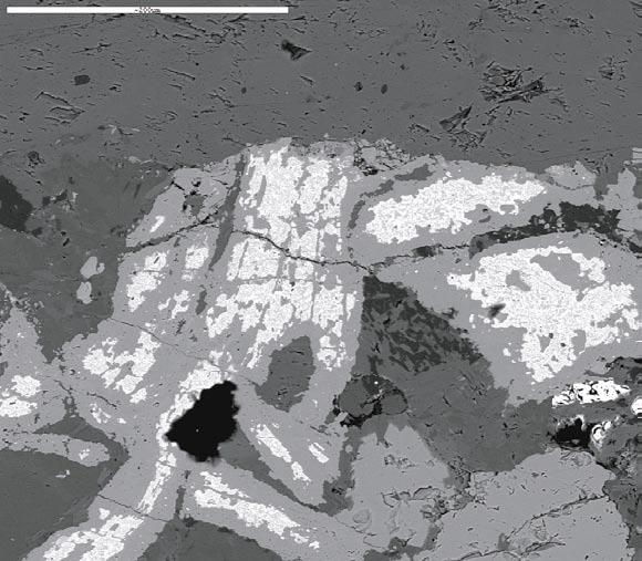 Figure A2. 204.90 205.10(3). Back-scattered electron image showing aggregates of ilmenite and Ti-ox (bright crystals) which have been altered to titanite (light grey) along their grainboundaries.