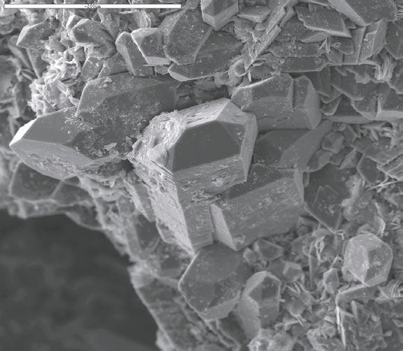 Figure A2. 208.45 208.50(2). Electron image showing idiomorphic quartz crystals growing from the walls of the cavity.