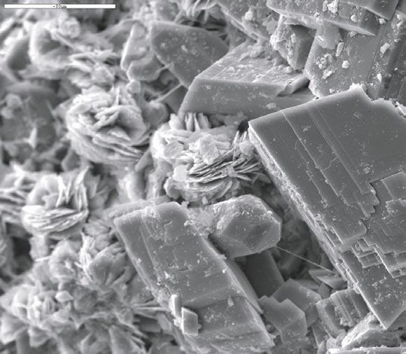 Electron image showing idiomorphic adularia and quartz crystals (dark grey crystals, predominantly on the right hand side of