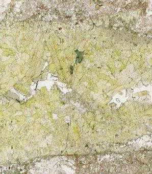 Figure A3. 525.06 525.66(1). Photomicrograph in plain polarised light showing the epidote (yellow) filled fracture with some chlorite (green) and quartz (white).width of view is ~1 cm.