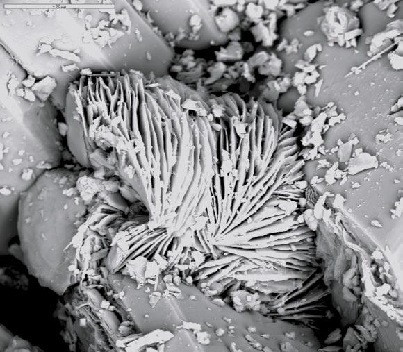 fracture wall. Scale bar is 200 µm Fig A3. 676.82 677.00(2).